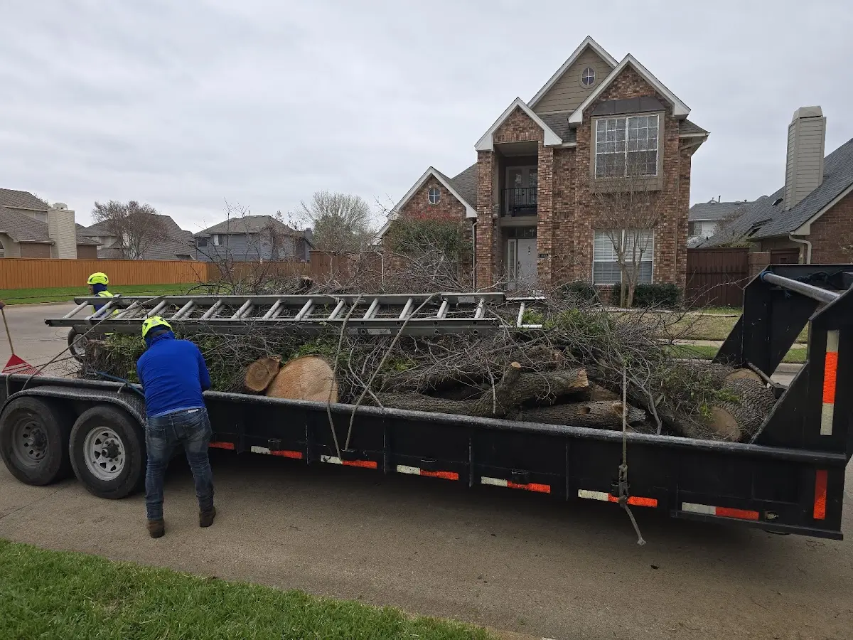 Expert Tree Fertilization with proper safety equipment in Gardner